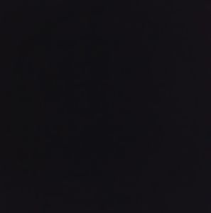 Meet your Posher, Timmy